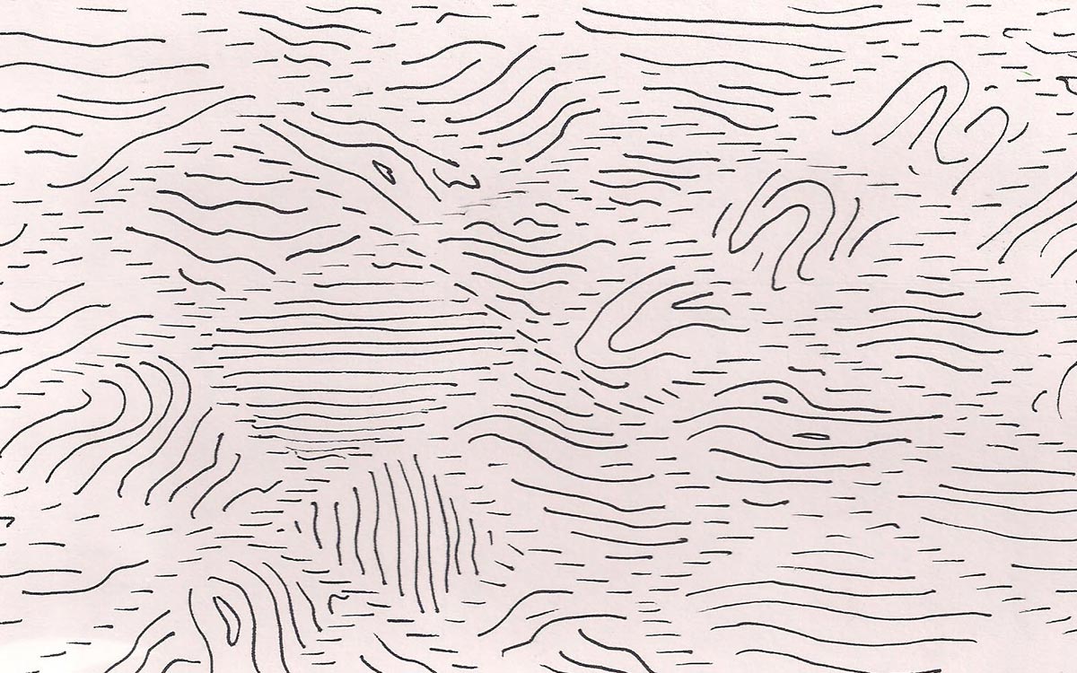 woodgrain practice