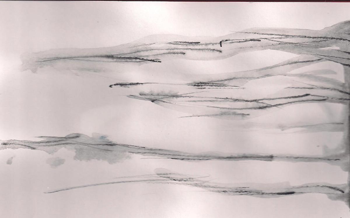 woodgrain practice