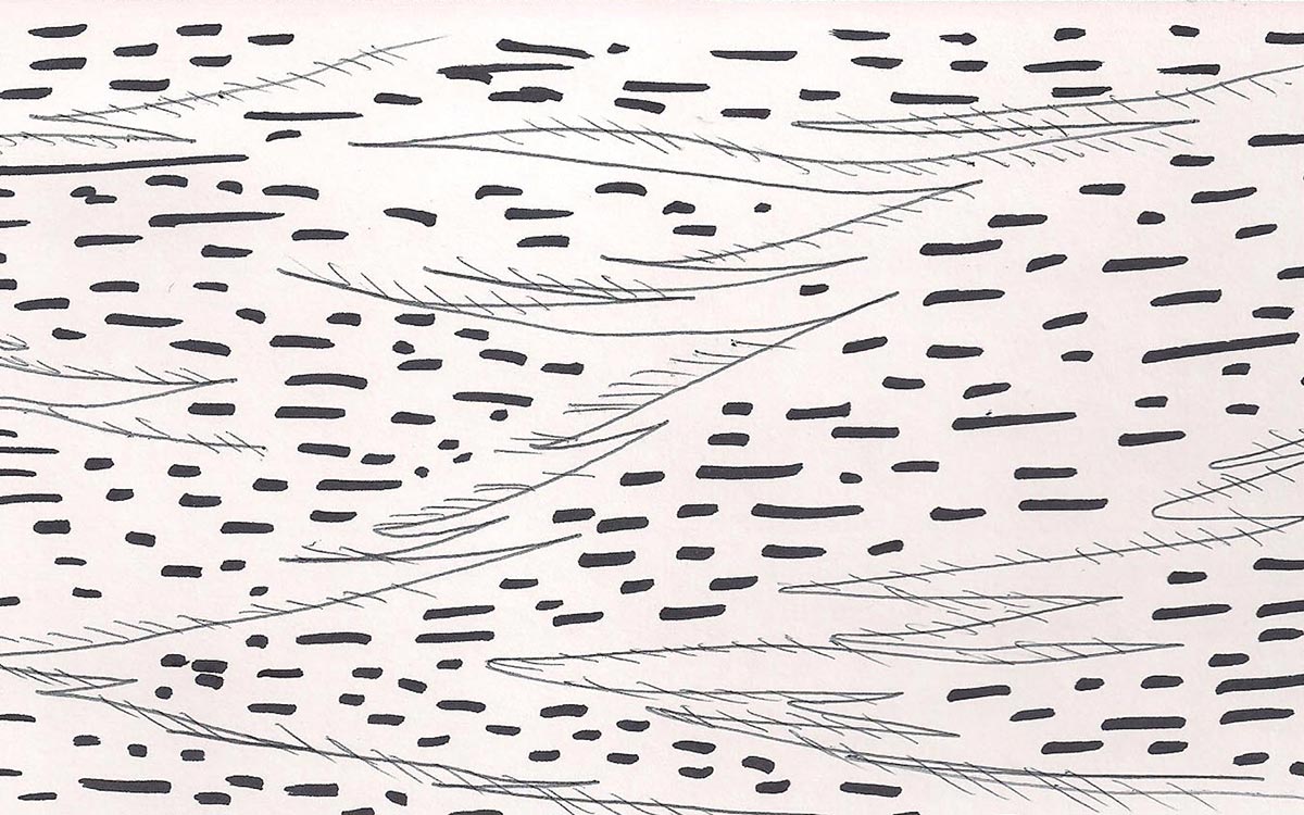 woodgrain practice