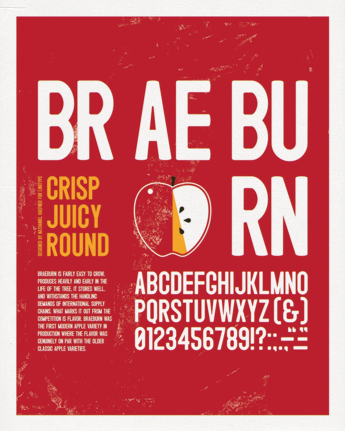 type specimen poster